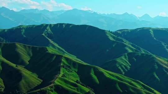 夏天的草原森林美景