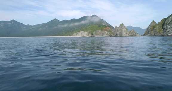 海面拍摄海豚游泳