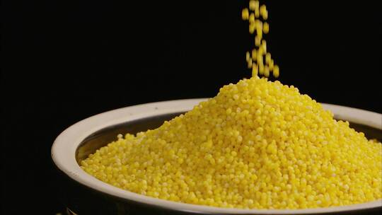 东北黄小米 小米粥金黄小米 五谷杂粮