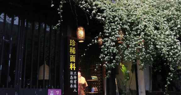 清晨春雨苏州平江路特色小店木香盛开