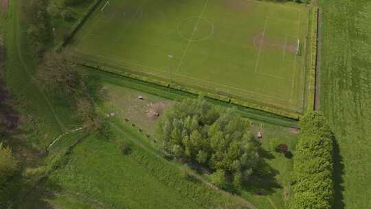 荷兰树木和草地足球场鸟瞰图。