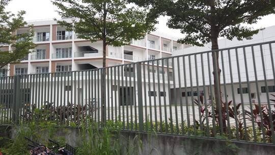 西丽大学城 南方科技大学视频素材模板下载