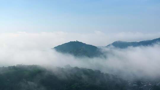 云雾缭绕的茶山茶园7视频素材模板下载