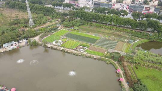 城郊农业基地航拍