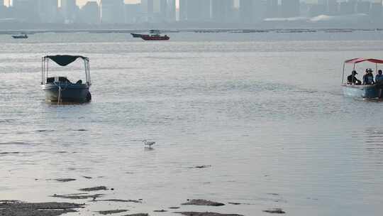 香港城市人文