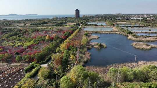 苏州太湖湿地公园（航拍视频原片素材）