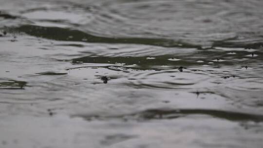 下雨天路面雨滴水花四溅实拍