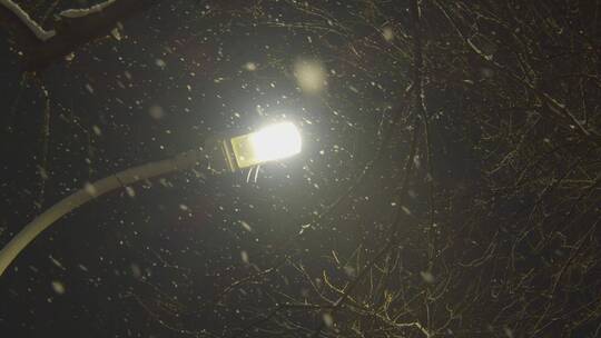 飘雪夜景路灯视频素材模板下载