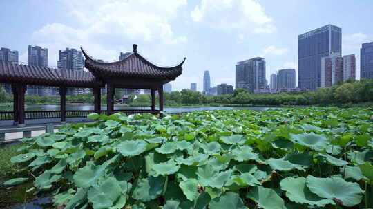 武汉武昌区沙湖公园月榭