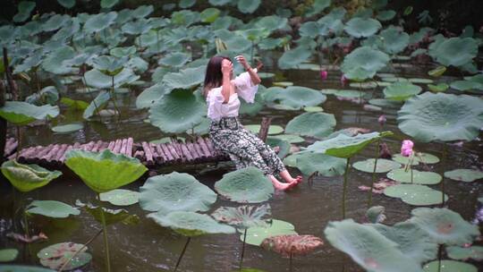 夏日荷花池