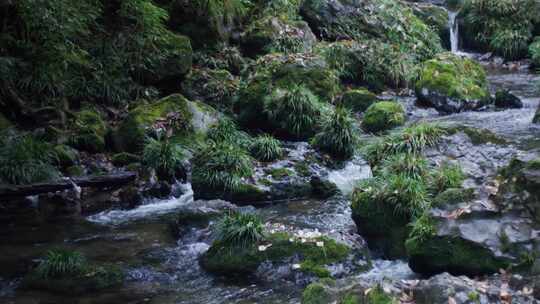 深山溪流