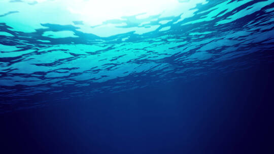 相机在在海洋下拍摄视频素材模板下载