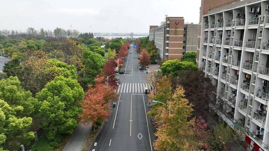 杭州钱塘区学林街秋景航拍