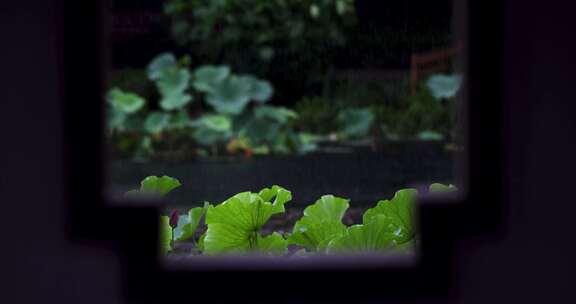 夏季雨中中式园林庭院屋檐雨滴