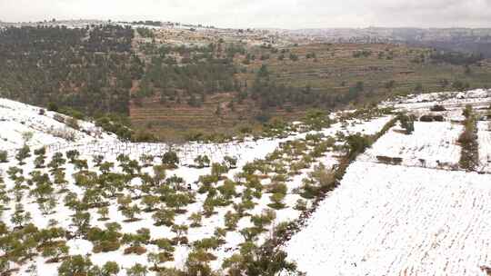 雪中的耶路撒冷高山鸟瞰图