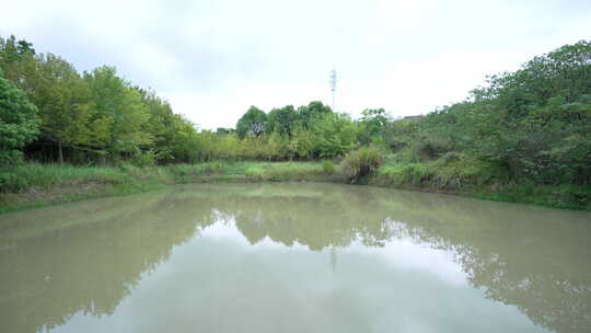 武汉江夏区藏龙岛国家湿地公园