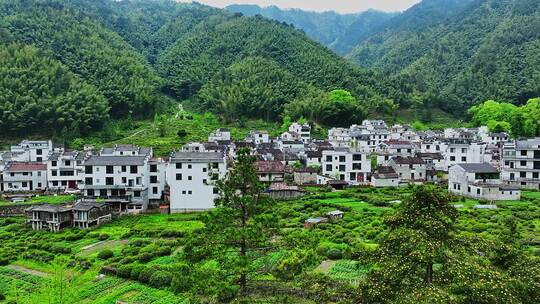 婺源障山村10