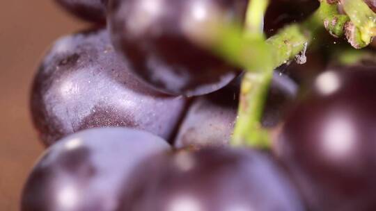 【镜头合集】成熟的一串葡萄提子