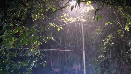 雨夜中的树叶遮挡的路灯特写