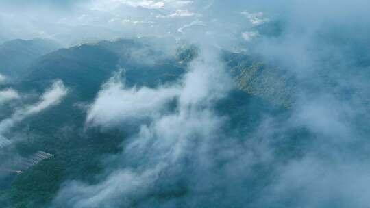 航拍山川原始森林云雾缭绕