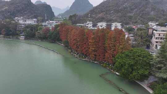 江两岸是树木与房屋