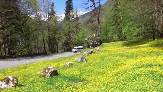 面包车，乡村，鲜花，公路旅行