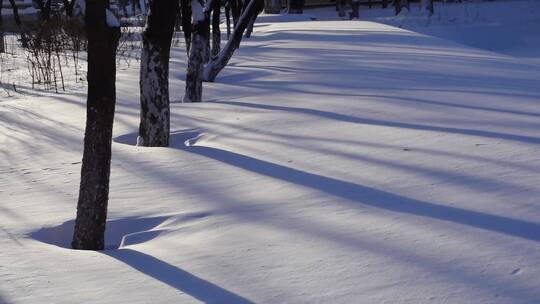 冬天公园老树小河雪景