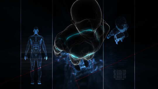 3D 人体模型 轮廓 光线视频素材模板下载
