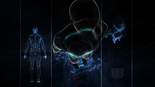 3D 人体模型 轮廓 光线