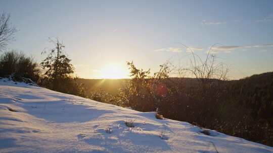 日出下冬天冬季冬景雪景