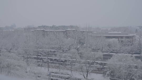 城市雪景 冬天下雪