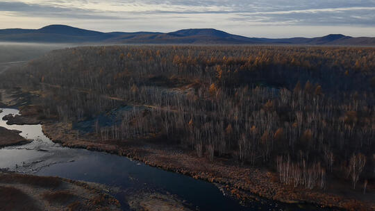 航拍/自热风光/秋景/大兴安岭的秋天