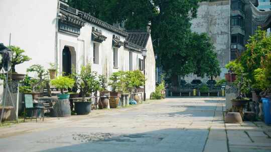 常州南市河风景区实拍