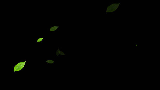 绿色茶叶动态装饰元素视频