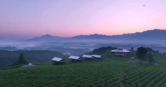 日出茶山晨雾航拍