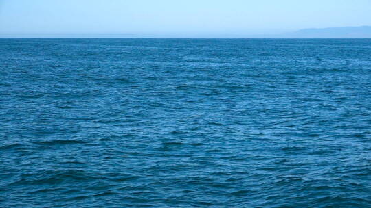 巨大的虎鲸在海峡群岛附近的太平洋游泳