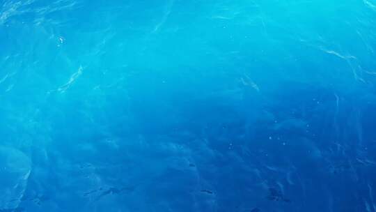 蓝色海水视频素材模板下载