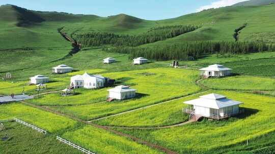 【航拍】草原风景 坝上草原