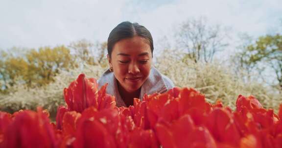 郁金香，花，女人，春天