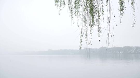 杭州西湖景区花港观鱼雾景