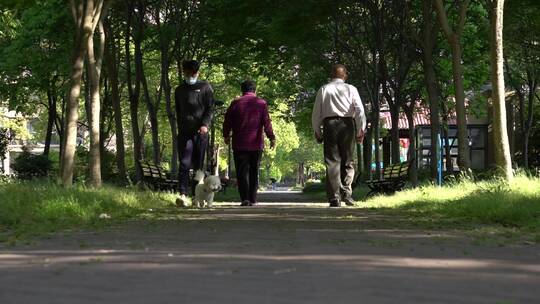 小区空镜 花鸟视频素材模板下载