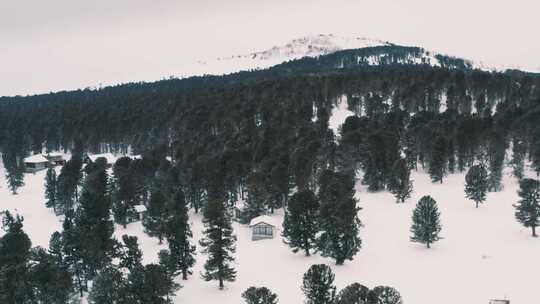 白雪覆盖的小村庄