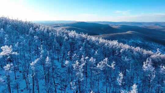 林海雪原 唯美高山雾凇