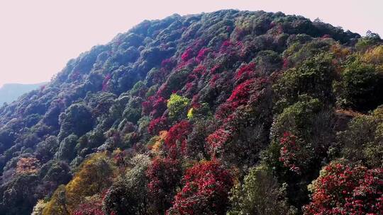 自然景观，治愈系风景，唯美意境，人间仙境