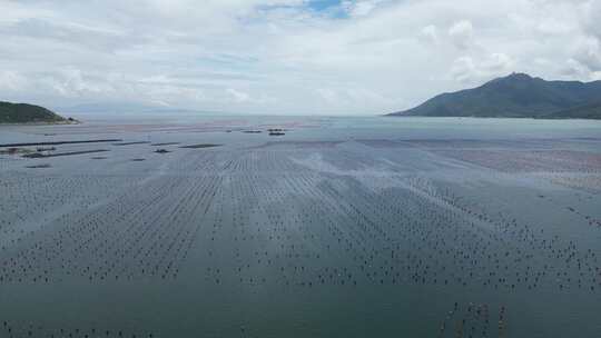 汕头南澳岛海水养殖基地海洋牧场