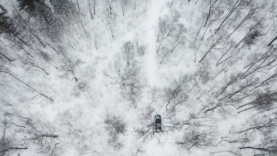 东北冬季大雪中的森林越野车行驶航拍