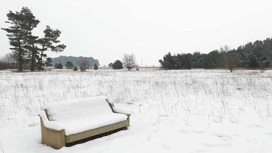 沙发在森林结冰雪地上