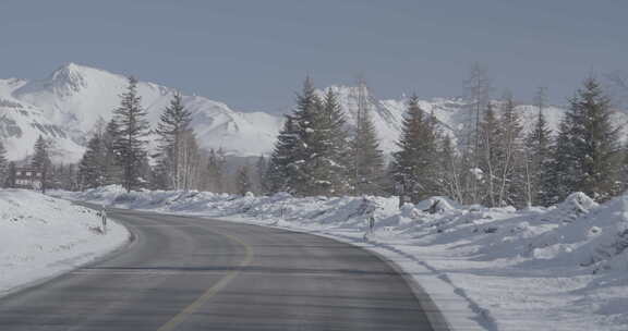 积雪覆盖的林间道路风景