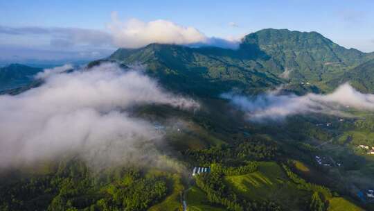 云雾 绿色 山