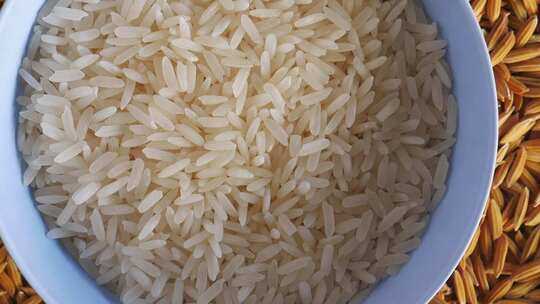 大米 东北大米 粮食 糯米